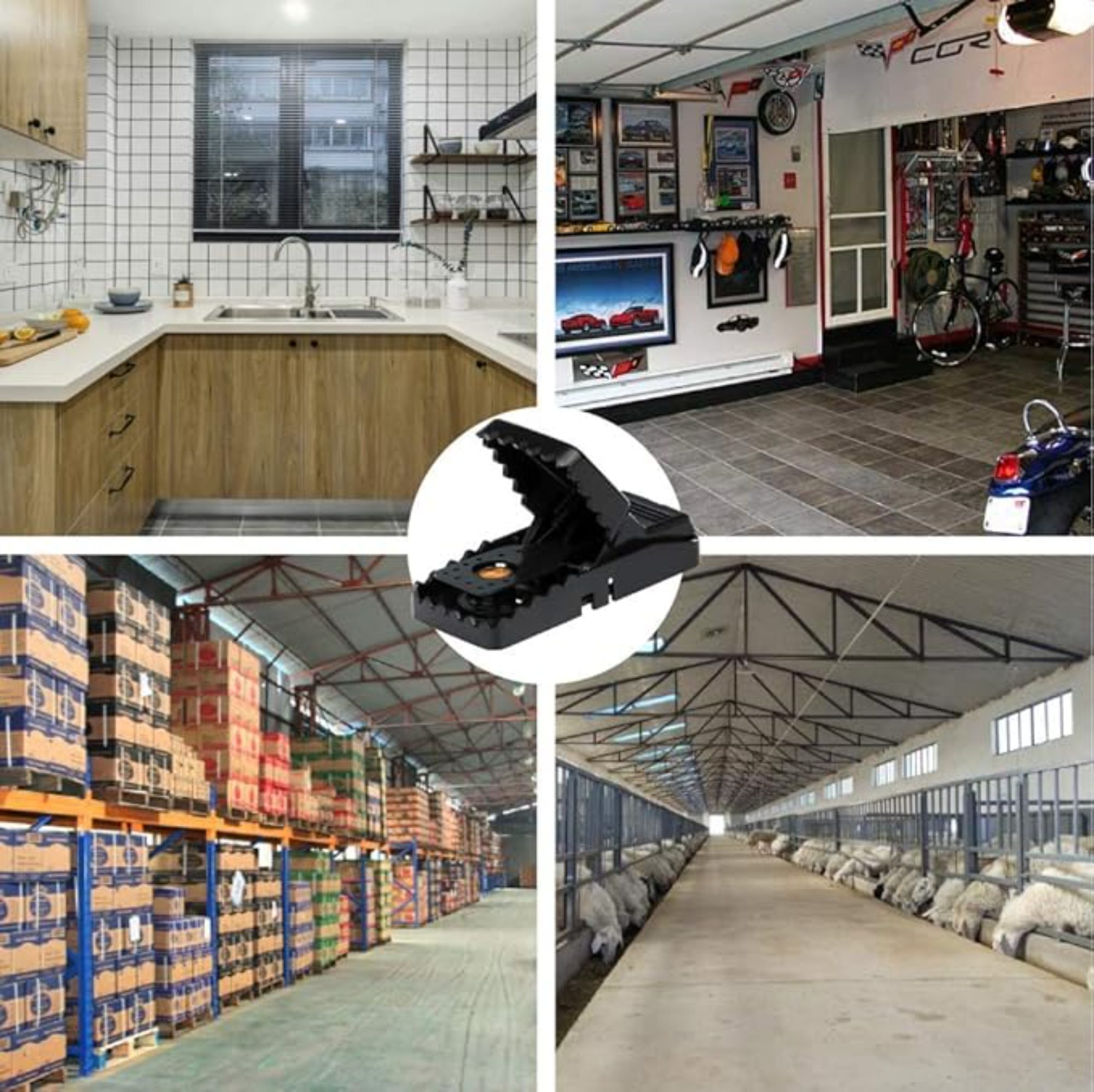 XXL Rattenfalle 21 cm – 2er Set Extra Große Schlagfallen gegen Ratten – Bild 4